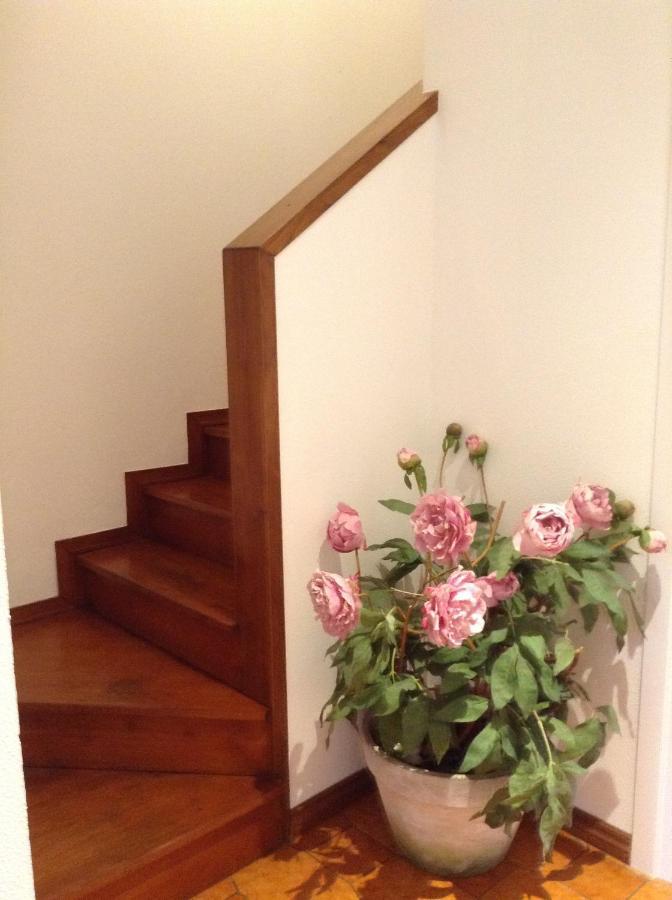 Casa Di Lucia B&B Ladispoli Eksteriør bilde