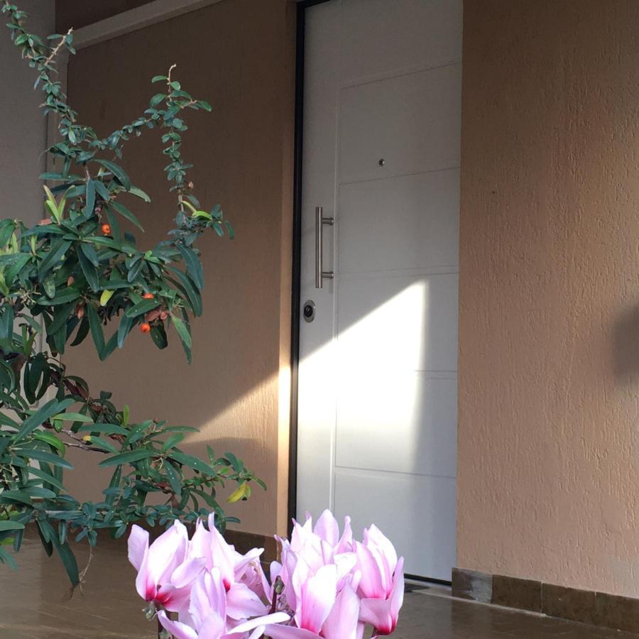 Casa Di Lucia B&B Ladispoli Eksteriør bilde